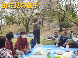 お花見の様子 お花見の様子